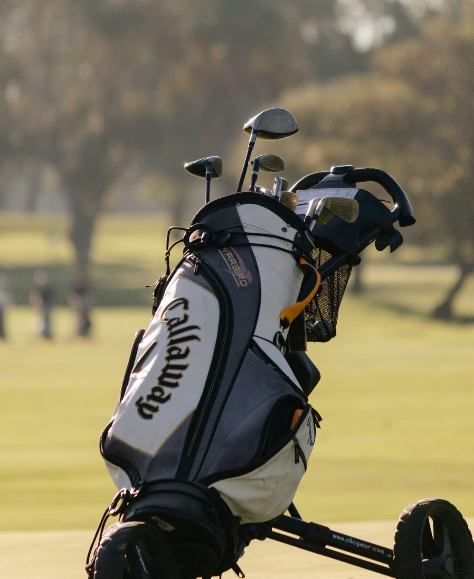 Golf Bags